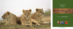 South Africa Direct from £529