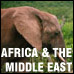 AFRICA & THE MIDDLE EAST