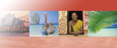Request a Brochure