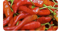 Red Hot Offers