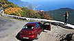 Cruise & Drive