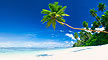 Beach Holidays