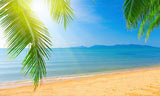 Beach Holidays