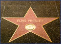 The Beverly Hilton Hotel
