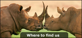 Where to find us