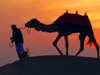 Beach Holidays For Less - Luxury Dubai From �519