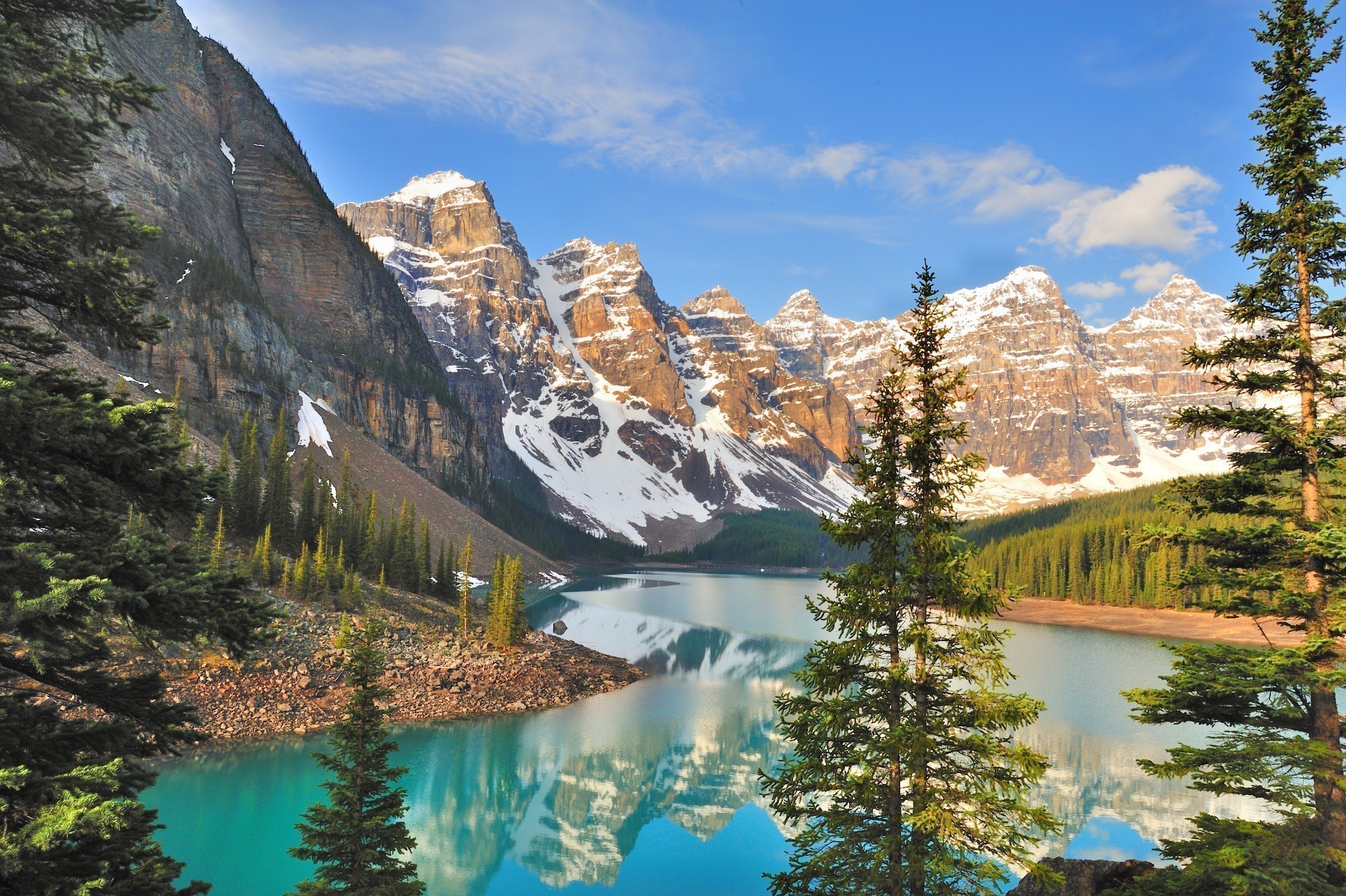 pleasant automobile insurance california vehicle insurance check made out to me