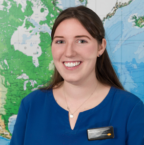 consultant image
